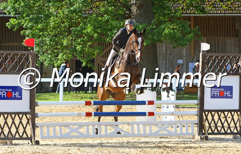 006M6288_Lord_Springpferde A_CD.JPG